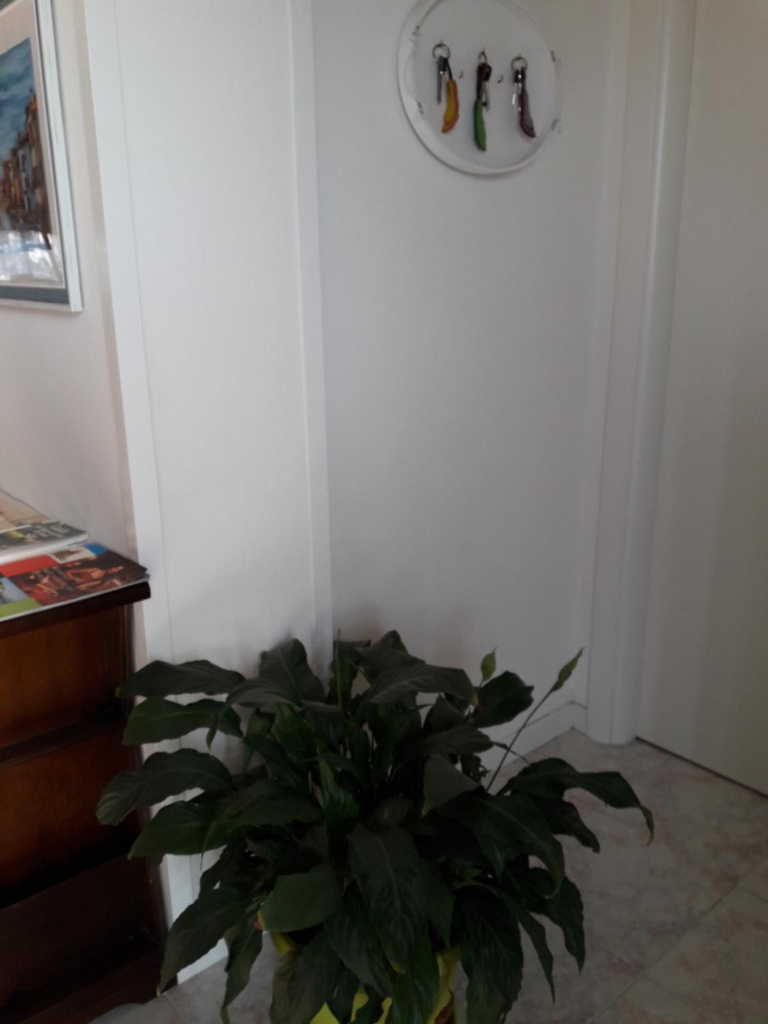B&B A Un Passo Da Casale sul Sile Kültér fotó